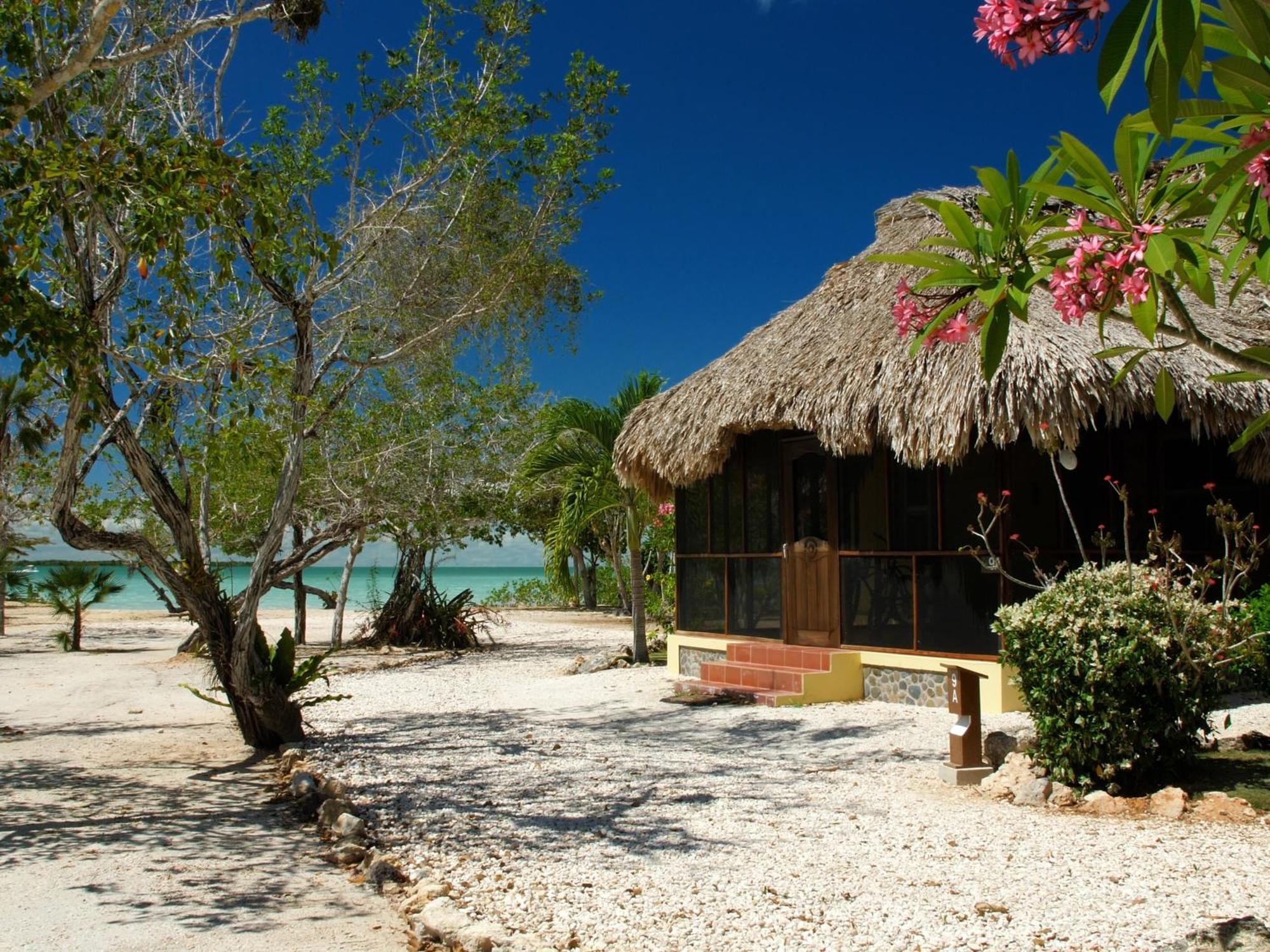 Orchid Bay Resort Corozal Szoba fotó